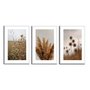Kit 3 Quadros Decorativos Natureza Minimalista