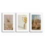 Kit 3 Quadros Decorativos Natureza Minimalista