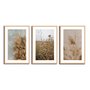 Kit 3 Quadros Decorativos Natureza Minimalista