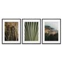 Kit 3 Quadros em Telas Canvas Natureza Minimalista