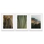 Kit 3 Quadros em Telas Canvas Natureza Minimalista