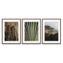 Kit 3 Quadros em Telas Canvas Natureza Minimalista
