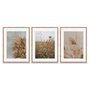 Kit 3 Quadros em Telas Canvas Natureza Minimalista
