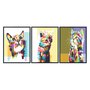Kit 3 Quadros Gatos Pop Art Colorido