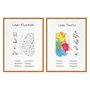Kit de Quadros Decorativos Lado Esquerdo e Direito do Cérebro