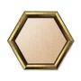 Moldura Hexagonal Com Moldura Chanfrada Com Padrão Oval Gravado Em Relevo E Efeito Aço Metal Escovado Com Fundo MDF e Frente Em PVC Antirreflexo - 4,6x2,1