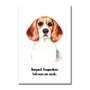Placa Decorativa Cachorro Beagle Características da Raça