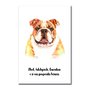 Placa Decorativa Cachorro Bulldog Inglês Características da Raça