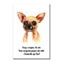 Placa Decorativa Cachorro Chihuahua Características da Raça