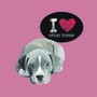 Placa Decorativa Cachorro Frase: "I Love Pitbull Terrier" Salmão