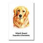 Placa Decorativa Cachorro Golden Retriever Características da Raça
