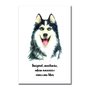 Placa Decorativa Cachorro Husky Siberiado Características da Raça
