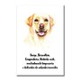 Placa Decorativa Cachorro Labrador Características da Raça