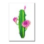 Placa Decorativa Cactus com Flores