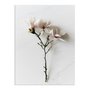Placa Decorativa Natureza Minimalista Flores