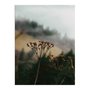 Placa Decorativa Natureza Minimalista Flores