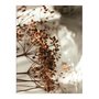 Placa Decorativa Natureza Minimalista Flores