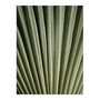 Placa Decorativa Natureza Minimalista Folha Verde