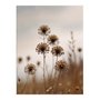 Placa Decorativa Natureza Minimalista Plantas Secas
