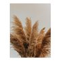 Placa Decorativa Natureza Minimalista Plantas Secas