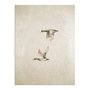 Placa Decorativa Patos Vintage Farmhouse