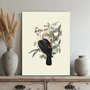 Placa Decorativa Pombos De Fruta Vintage Farmhouse