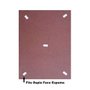 Placa Decorativa Ramo Com Flor Minimalista Estilo Japandi