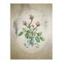 Placa Decorativa Ramo De Flores Vintage