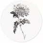 Placa Decorativa Redonda Kiku Pintura de Flor Ornamental Crisântemo no Estilo Sumiê