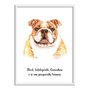 Quadro Decorativo Cachorro Bulldog Inglês Características da Raça
