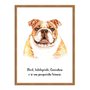 Quadro Decorativo Cachorro Bulldog Inglês Características da Raça