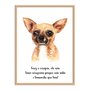 Quadro Decorativo Cachorro Chihuahua Características da Raça