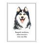 Quadro Decorativo Cachorro Husky Siberiado Características da Raça