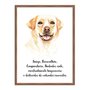 Quadro Decorativo Cachorro Labrador Características da Raça