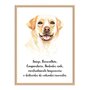 Quadro Decorativo Cachorro Labrador Características da Raça