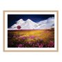 Quadro Decorativo Campo Florido
