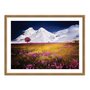 Quadro Decorativo Campo Florido