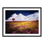 Quadro Decorativo Campo Florido