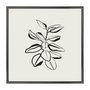 Quadro Decorativo Esboço Planta Estilo Japandi