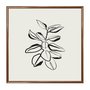 Quadro Decorativo Esboço Planta Estilo Japandi
