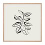 Quadro Decorativo Esboço Planta Estilo Japandi