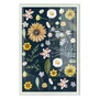 Quadro Decorativo Flores Silvestres Estilo Modern Heritage
