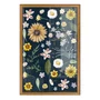 Quadro Decorativo Flores Silvestres Estilo Modern Heritage