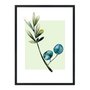 Quadro Decorativo Galho Folhas Verdes e Azul Fundo Verde Q3200_1