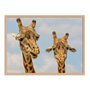 Quadro Decorativo Girafas