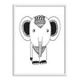Quadro Decorativo Gravura de Elefante