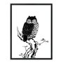 Quadro Decorativo Gravura de Uma Coruja