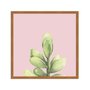 Quadro Decorativo Mini Suculenta Verde Fundo Rosa Q3194_1