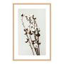 Quadro Decorativo Natureza Minimalista Algodão