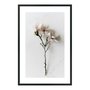 Quadro Decorativo Natureza Minimalista Flores